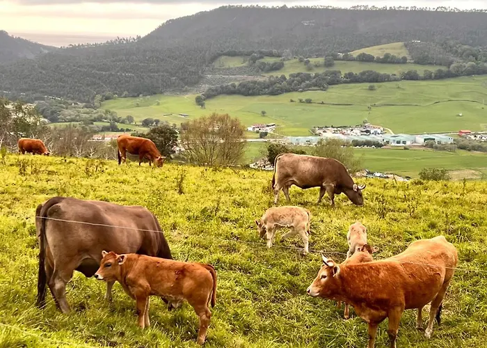 Hébergement de vacances Casa Vacacional El Mirador De Picos Serdio