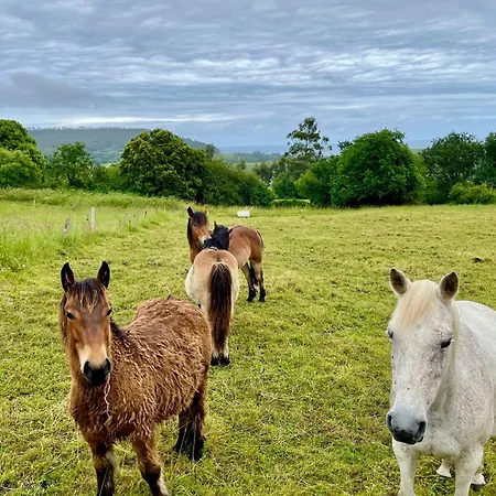 Casa Vacacional El Mirador De Picos *