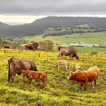 بيت للعطل Casa Vacacional El Mirador De Picos Serdio