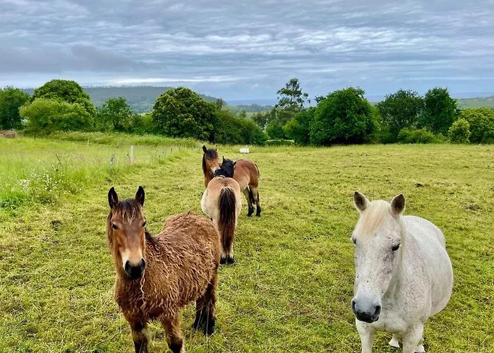 Casa Vacacional El Mirador De Picos *